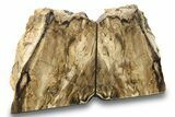 Tall, Petrified Wood Bookends - McDermitt, Oregon #271136-1